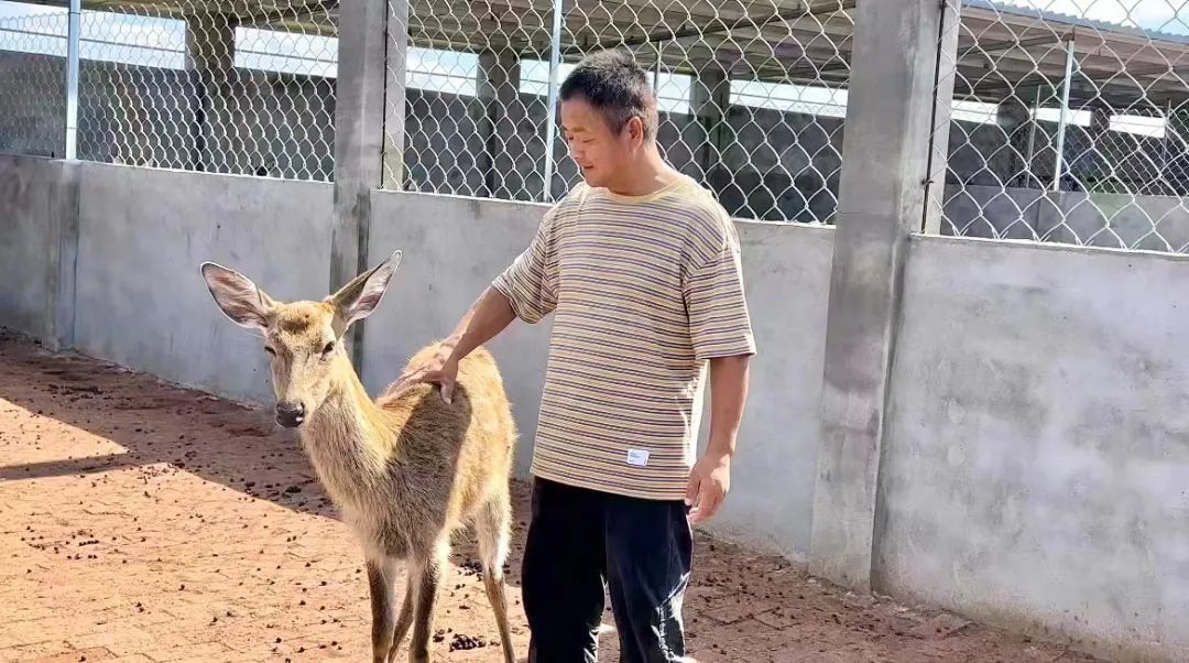 菠菜大全导航